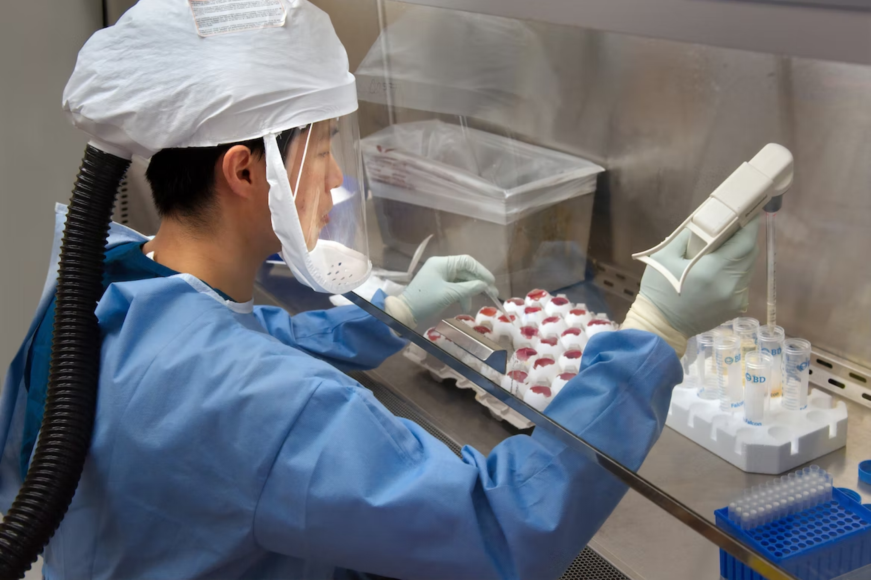 CovCare PCR Express Swab & Serology Test Package