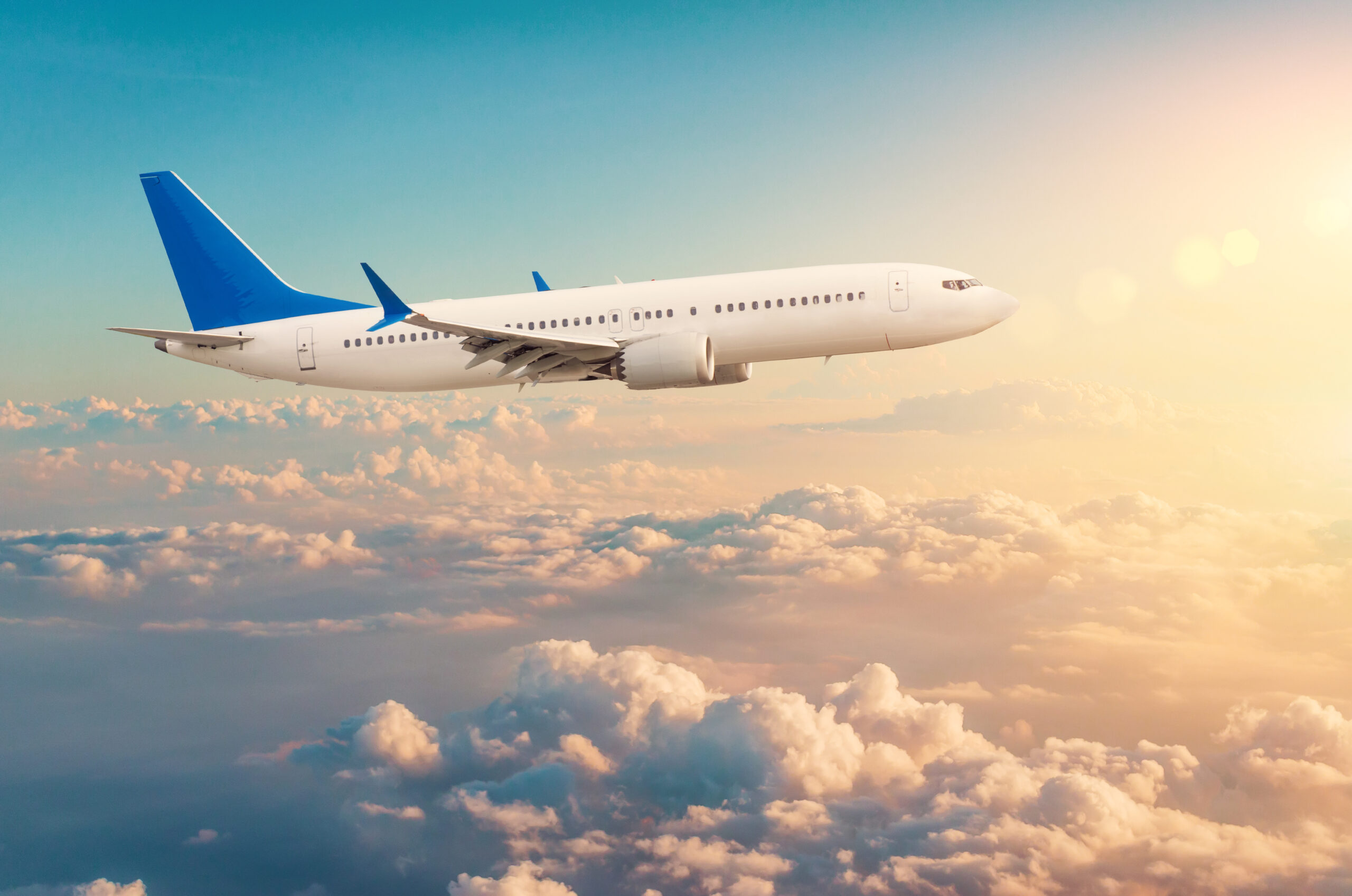 Article for travel requirements
